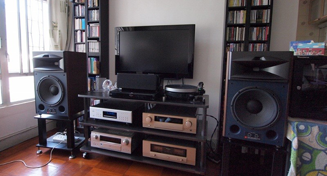 Также вы можете приобрести специализированные стойки для JBL Studio Monitor 4429, оптимальные по высоте и надежные по конструкции